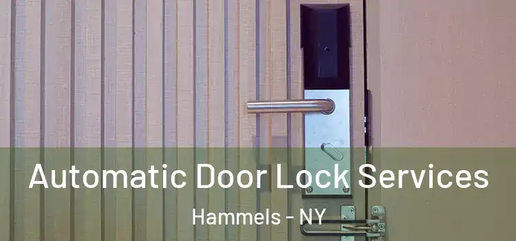 Automatic Door Lock Services Hammels - NY