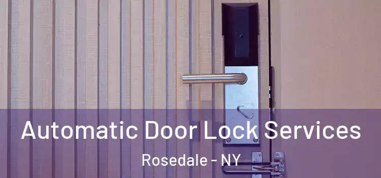 Automatic Door Lock Services Rosedale - NY