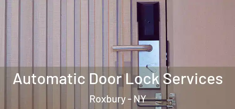  Automatic Door Lock Services Roxbury - NY