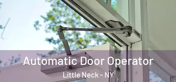 Automatic Door Operator Little Neck - NY