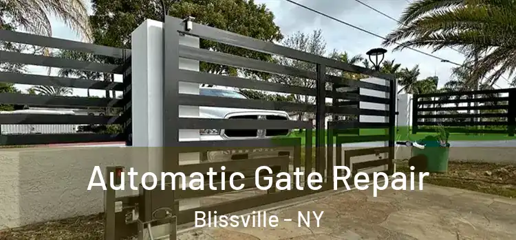 Automatic Gate Repair Blissville - NY