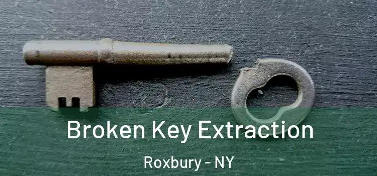 Broken Key Extraction Roxbury - NY