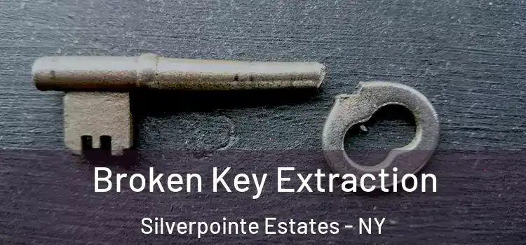 Broken Key Extraction Silverpointe Estates - NY