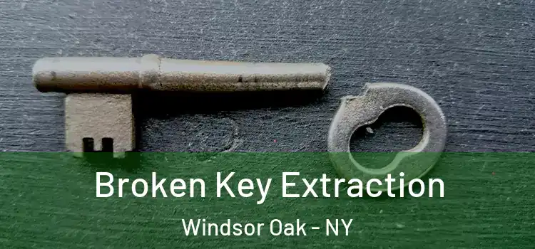  Broken Key Extraction Windsor Oak - NY