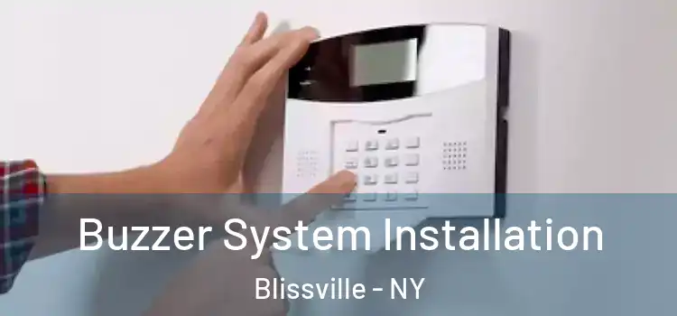  Buzzer System Installation Blissville - NY