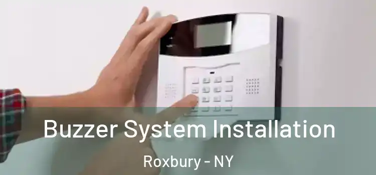  Buzzer System Installation Roxbury - NY