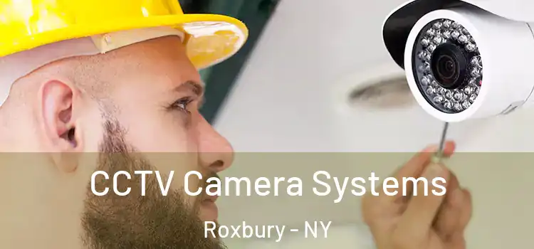  CCTV Camera Systems Roxbury - NY