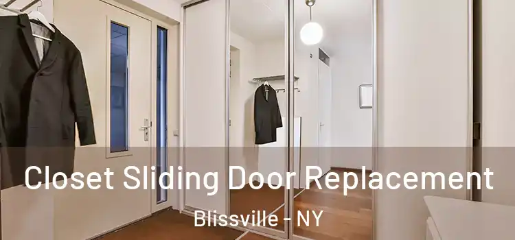 Closet Sliding Door Replacement Blissville - NY