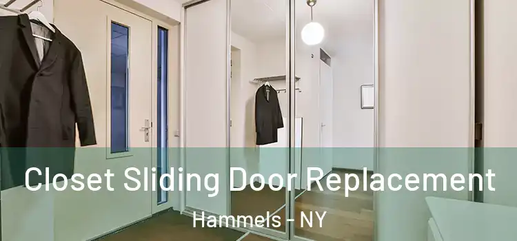 Closet Sliding Door Replacement Hammels - NY
