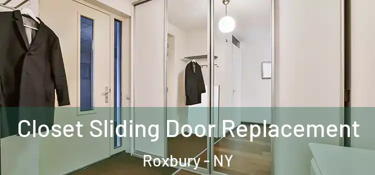 Closet Sliding Door Replacement Roxbury - NY