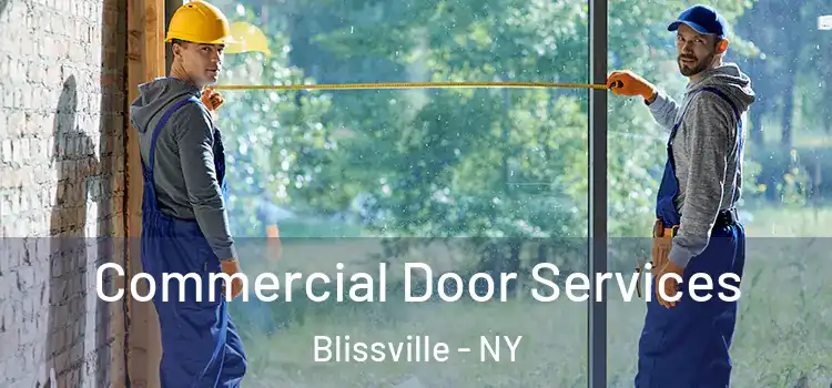 Commercial Door Services Blissville - NY
