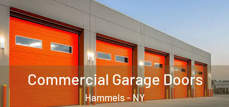  Commercial Garage Doors Hammels - NY