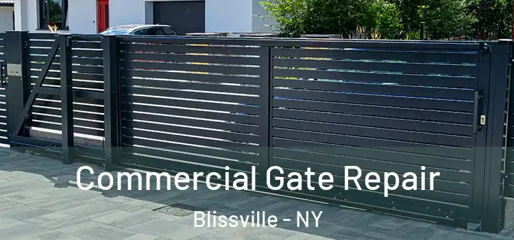  Commercial Gate Repair Blissville - NY