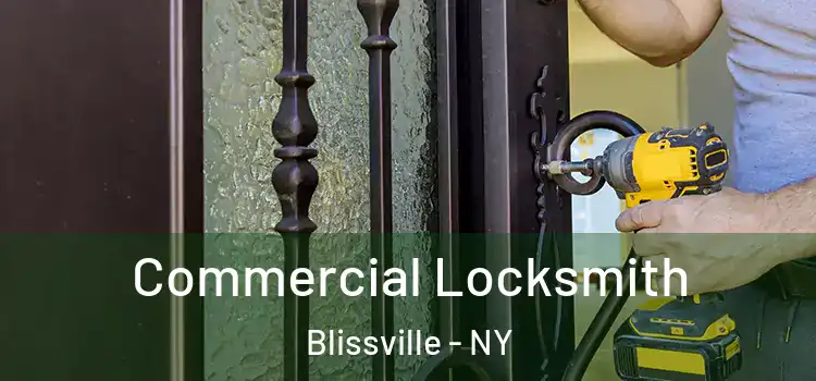 Commercial Locksmith Blissville - NY