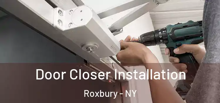 Door Closer Installation Roxbury - NY