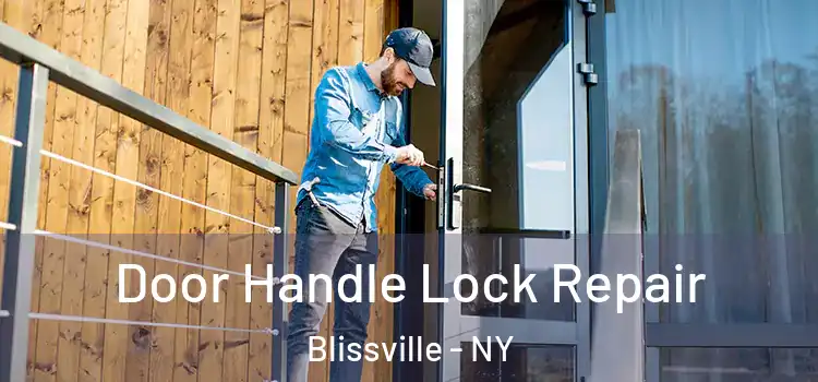 Door Handle Lock Repair Blissville - NY
