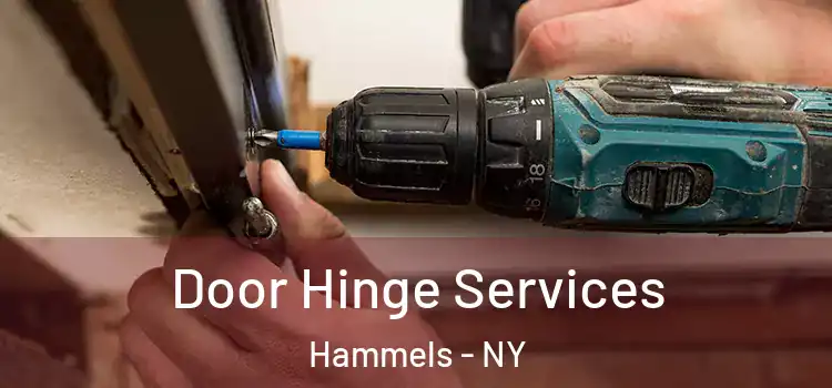 Door Hinge Services Hammels - NY