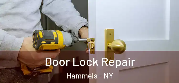 Door Lock Repair Hammels - NY
