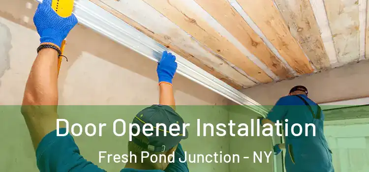 Door Opener Installation Fresh Pond Junction - NY