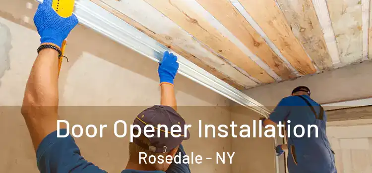 Door Opener Installation Rosedale - NY