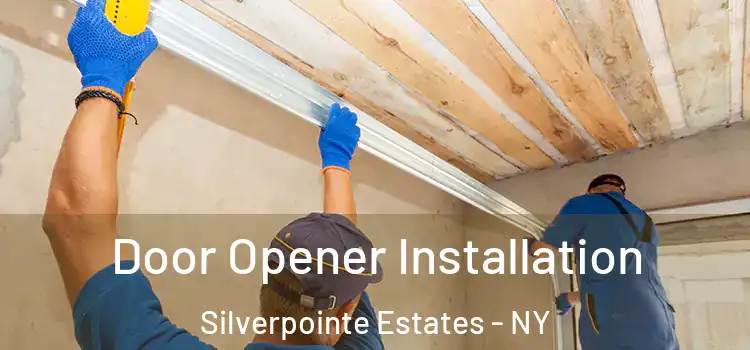  Door Opener Installation Silverpointe Estates - NY