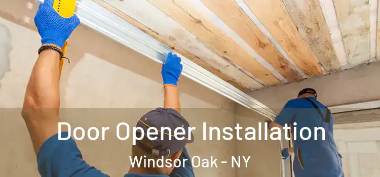 Door Opener Installation Windsor Oak - NY