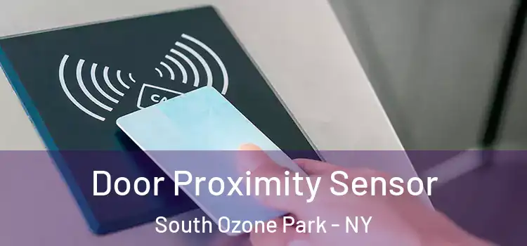 Door Proximity Sensor South Ozone Park - NY