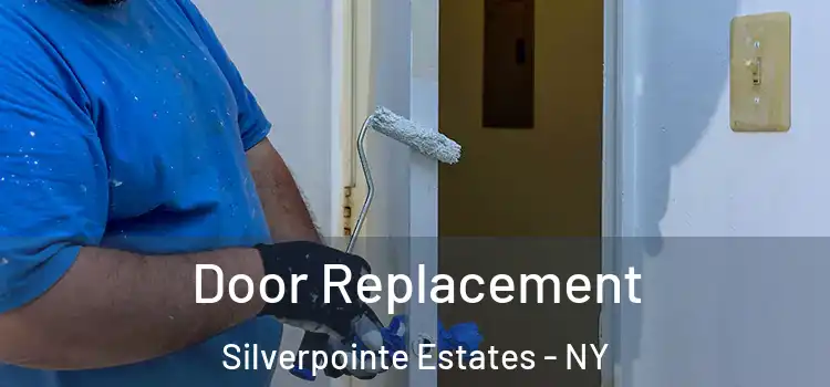  Door Replacement Silverpointe Estates - NY