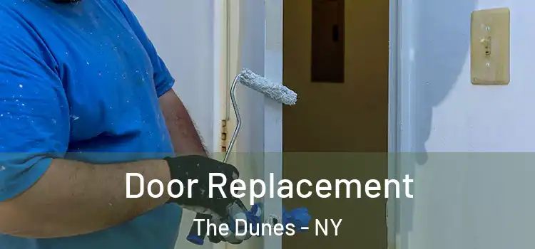  Door Replacement The Dunes - NY