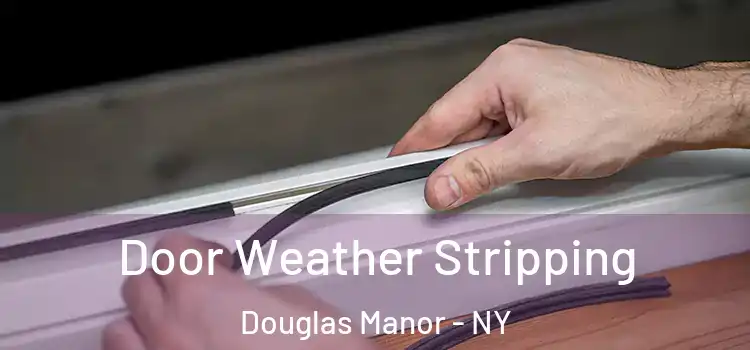 Door Weather Stripping Douglas Manor - NY