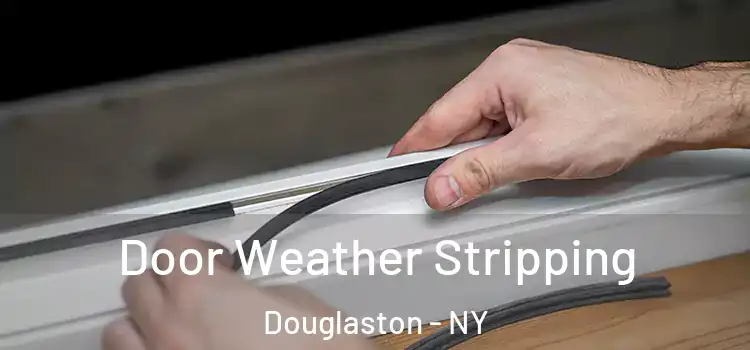  Door Weather Stripping Douglaston - NY