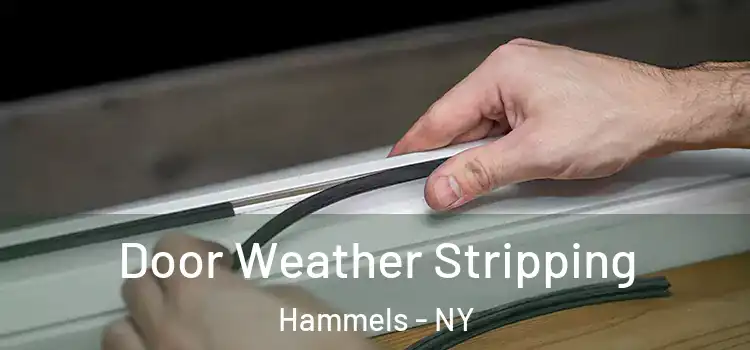  Door Weather Stripping Hammels - NY