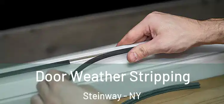  Door Weather Stripping Steinway - NY