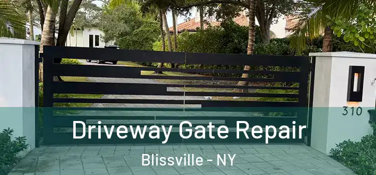 Driveway Gate Repair Blissville - NY