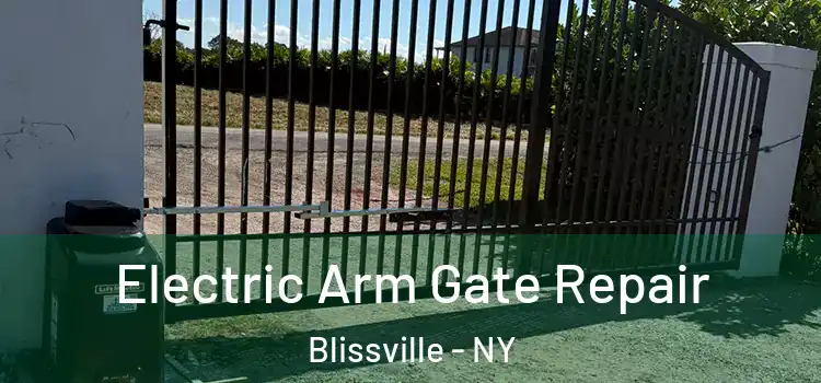  Electric Arm Gate Repair Blissville - NY