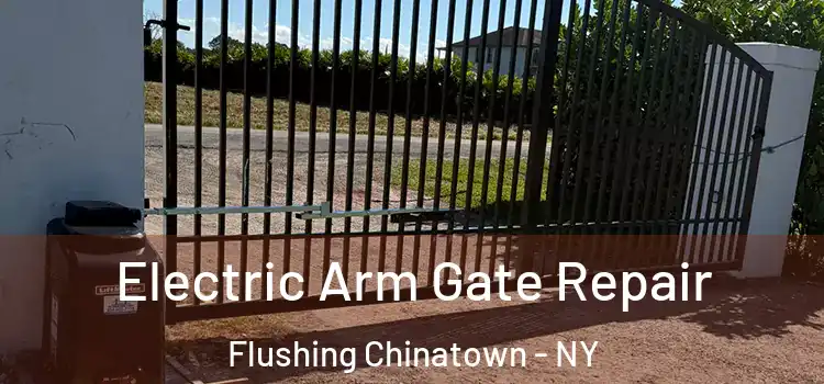 Electric Arm Gate Repair Flushing Chinatown - NY