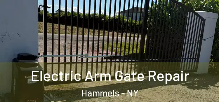  Electric Arm Gate Repair Hammels - NY