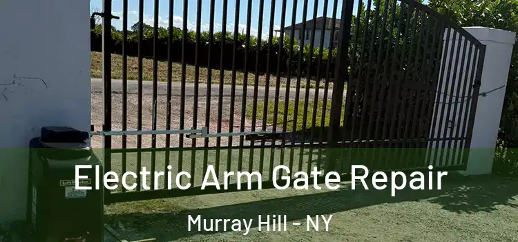 Electric Arm Gate Repair Murray Hill - NY