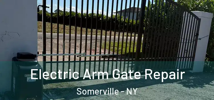 Electric Arm Gate Repair Somerville - NY