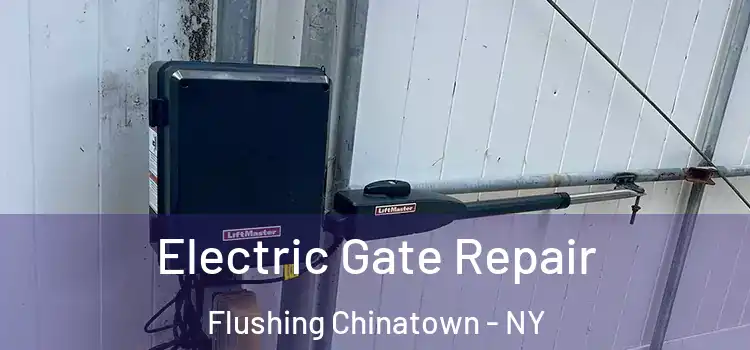 Electric Gate Repair Flushing Chinatown - NY
