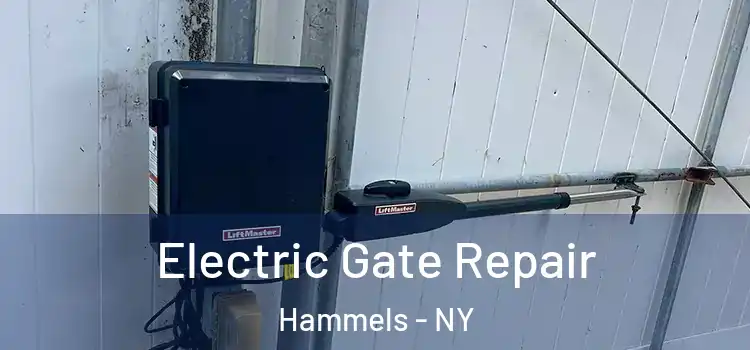 Electric Gate Repair Hammels - NY