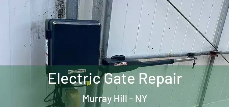 Electric Gate Repair Murray Hill - NY