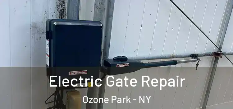 Electric Gate Repair Ozone Park - NY
