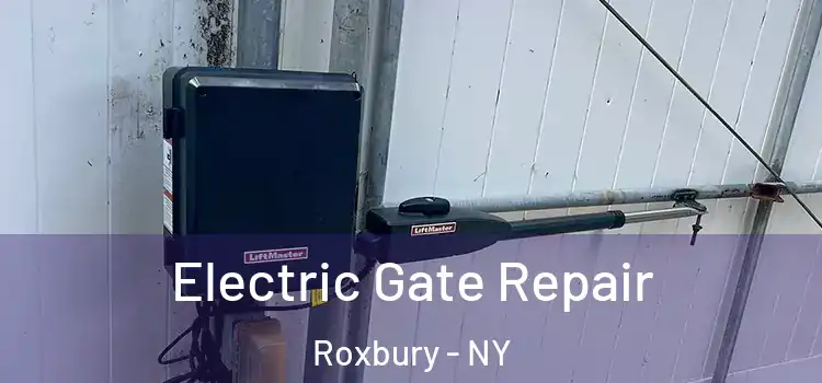  Electric Gate Repair Roxbury - NY