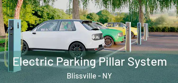 Electric Parking Pillar System Blissville - NY