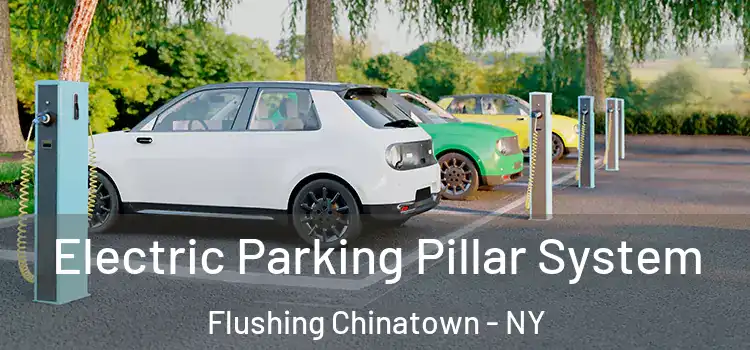 Electric Parking Pillar System Flushing Chinatown - NY