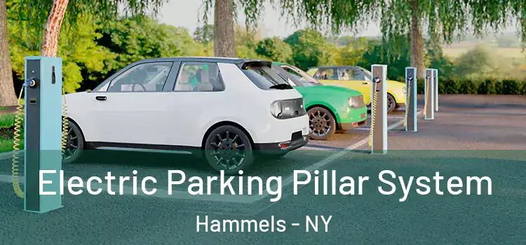 Electric Parking Pillar System Hammels - NY