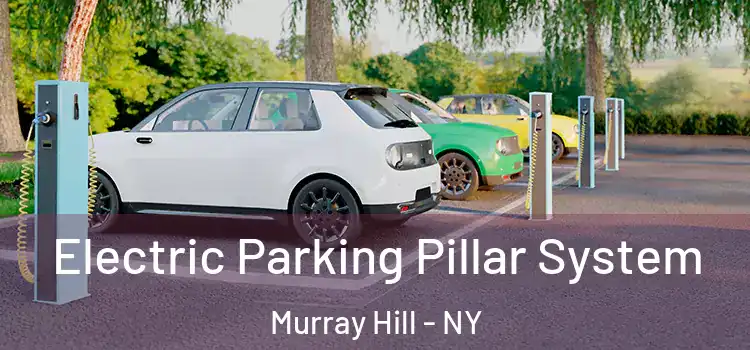 Electric Parking Pillar System Murray Hill - NY