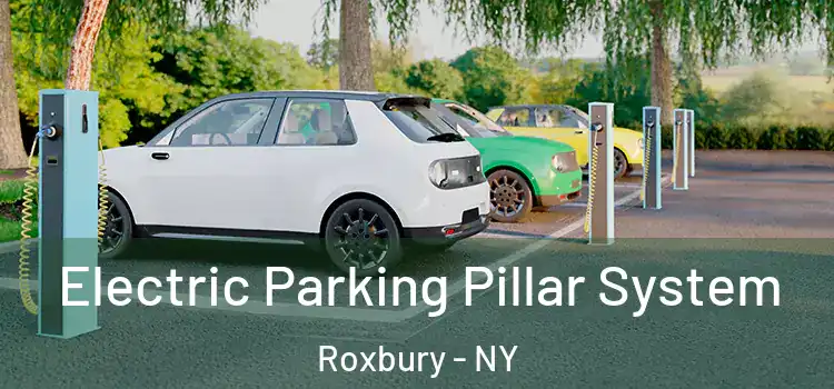  Electric Parking Pillar System Roxbury - NY