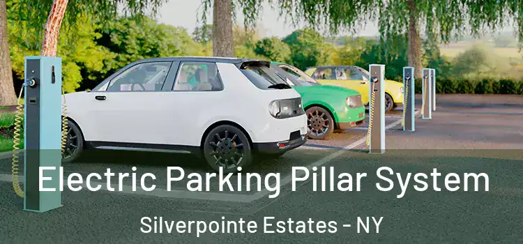 Electric Parking Pillar System Silverpointe Estates - NY